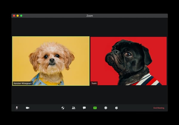 12 tips and shortcuts you need to know to master Zoom
