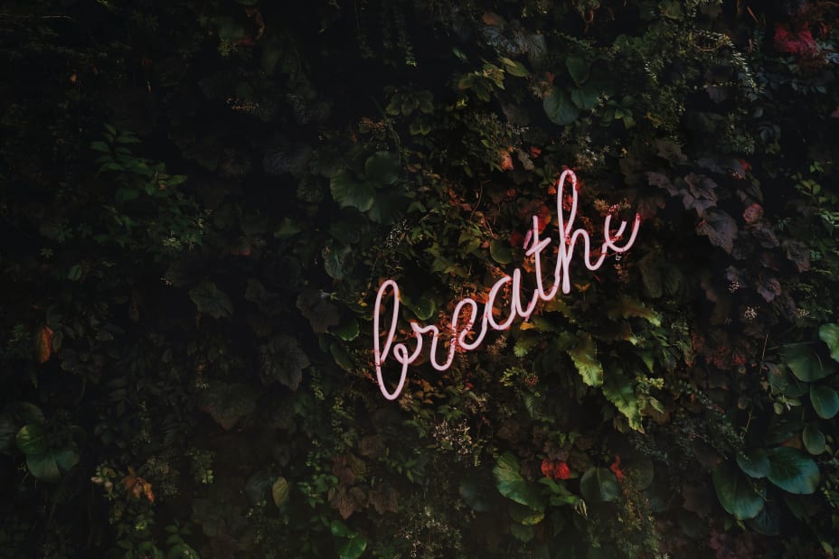 tim-goedhart-334149-unsplash_928x619_optimised