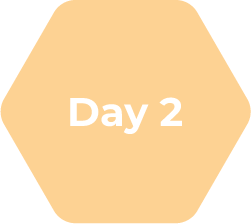 day 2 hive