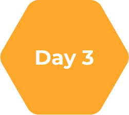 day 3 hive